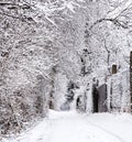 Winter landscape. frozen plant. Beautiful nature. weather season. Cold Royalty Free Stock Photo