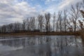 Winter landscape of a frozen pond. A poplar tree grows on the bank. Beautiful blue sky with clouds Royalty Free Stock Photo
