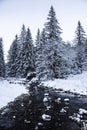 Winter landscape with frozen river and beautiful spruce trees, covered with snow Royalty Free Stock Photo