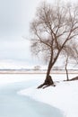 A winter landscape of a frozen river going to the pespective far away. Leafless trees are on the sides of the frame and in the