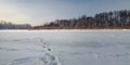 winter landscape. frozen river, lake under snow with reeds and bare trees in clear weather Royalty Free Stock Photo