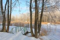 Winter landscape with frozen river, little bridge and trees covered with snow Royalty Free Stock Photo