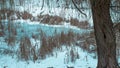 Winter landscape with a frozen river in the thickets  winter cold  beautiful winter. Royalty Free Stock Photo