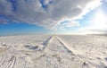Winter white landscape