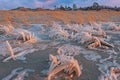 Winter, Frozen Shoreline of Lake Michigan at Saugatuck Dunes Royalty Free Stock Photo