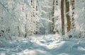 Winter landscape germany