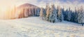 Winter landscape glowing by sunlight. Dramatic wintry scene.