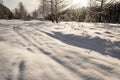 Winter landscape. The ground is hidden under deep snowdrifts. The trees are beautifully snow-covered. Pine forest and poplar. Royalty Free Stock Photo