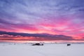 Winter landscape, group of horses on snow field in countryside at dusk before sunset in Iceland