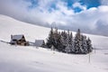 Winter landscape, group of trees and a house covered with snow