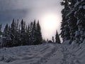 Winter landscape with hiking path and footsteps in the snow on Edith Cavell Meadows Trail in Jasper National Park, Canada. Royalty Free Stock Photo