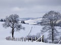 Wooden fence and trees in snow landscape in Luxembourg Royalty Free Stock Photo