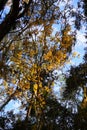 The winter landscape of Hillsborough river and Lettuce park