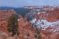 Landscape of the Hoodoos of Bryce Canyon National Park Royalty Free Stock Photo