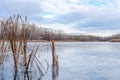 Winter landscape ice-covered lake and trees. Beautiful cloudy sky Royalty Free Stock Photo