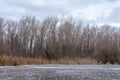 Winter landscape ice-covered lake and trees. Beautiful cloudy sky Royalty Free Stock Photo