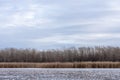 Winter landscape ice-covered lake and trees. Beautiful cloudy sky Royalty Free Stock Photo