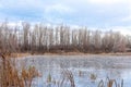 Winter landscape ice-covered lake and trees. Beautiful cloudy sky Royalty Free Stock Photo