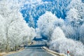 Winter Landscape with icy road Royalty Free Stock Photo