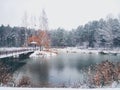 Winter landscape: the idyllic pond Royalty Free Stock Photo