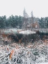 Winter landscape: the idyllic pond Royalty Free Stock Photo