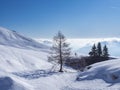 Winter landscape in the Italian alps Royalty Free Stock Photo