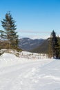 Winter landscape in Jasna, Slovakia Royalty Free Stock Photo