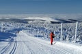 Winter Landscape of Jeseniky Royalty Free Stock Photo