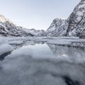 Winter landscape on a lake during Lofoten winter. Snow and ice melting Royalty Free Stock Photo