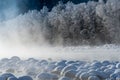 Winter landscape of lake with misty surface. Rocks and trees on river bank with snow