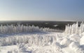 Winter landscape in Lapland.