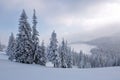 Winter landscape. Lawn and forest. High mountain. Trees covered with white snow. Snowy background. Nature scenery Royalty Free Stock Photo