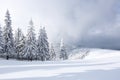 Winter landscape. Lawn and forest. High mountain. Trees covered with white snow. Snowy background. Nature scenery Royalty Free Stock Photo