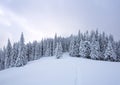 Winter landscape. Lawn and forest. High mountain. Trees covered with white snow. Snowy background. Nature scenery Royalty Free Stock Photo