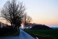 Winter landscape with a lone tree at sunset barley field in the village Royalty Free Stock Photo