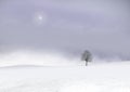 Winter Landscape with a Lonely Tree