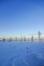 Winter landscape with a lot of snow. Reidi tee street promenade. Blue clear sky, trees and lamp posts. Tallinn, Estonia