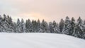 Winter landscape with lots of snow and snowy pines Royalty Free Stock Photo