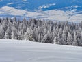 Winter Landscape in Madaras, Harghita, Romania Royalty Free Stock Photo