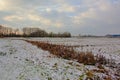 Meadow under snow with a ditch with reed and shrubs and bare trees behind in Bourgoyen nature reserve, Ghent, Belgium