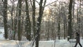 Winter landscape at moenchsberg, downtown salzburg in winter, Salzburg, Austria