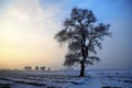 Snow-covered field,Winter landscape in morninge