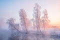 Winter landscape with morning sunlight Royalty Free Stock Photo