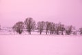 Sunrise over the field covered with snow Royalty Free Stock Photo