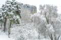 Winter landscape, Moscow, Russia. Nice snowy trees overlooking modern building