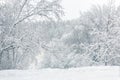 Winter landscape, Moscow, Russia. Panorama of nice trees covered fresh snow. Scenery of city park by the river after snowfall Royalty Free Stock Photo