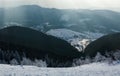 Winter landscape mountain pine forest in rays of the sun Royalty Free Stock Photo