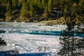 Winter landscape, mountain river valley. Turquoise river runs among snow-covered banks with coniferous forest on sunny January day