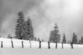 Winter landscape on the mountain with trees and minimal fence Royalty Free Stock Photo