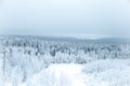 Winter landscape, mountain view of the forest Royalty Free Stock Photo